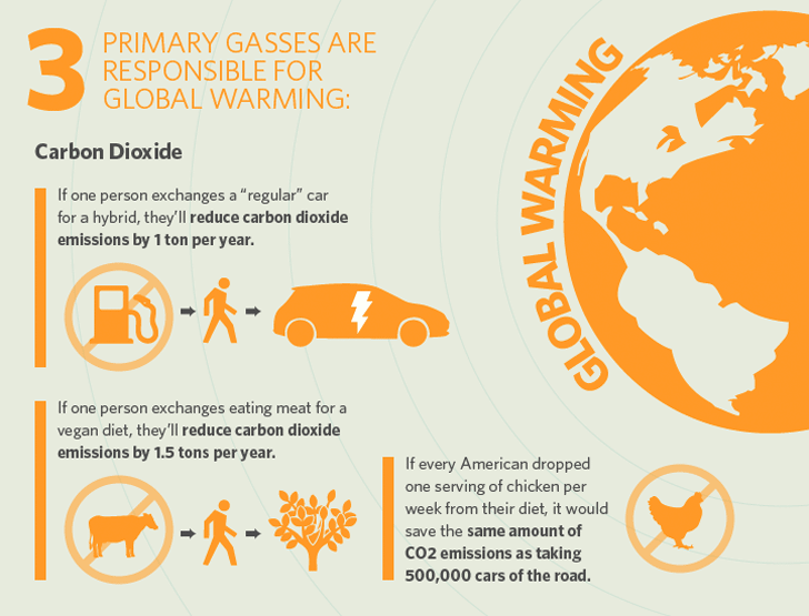 Impact of meat on environment