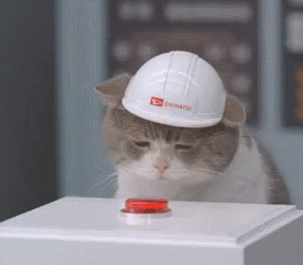 Cat pressing button animation"