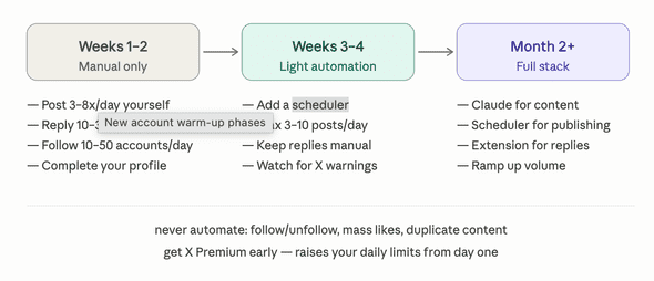 Guide on posting from new X account