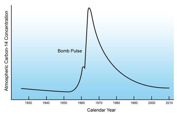 Nuclear fallout graph